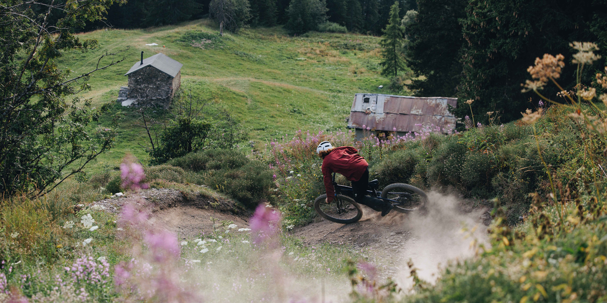 Specialized Bicycles