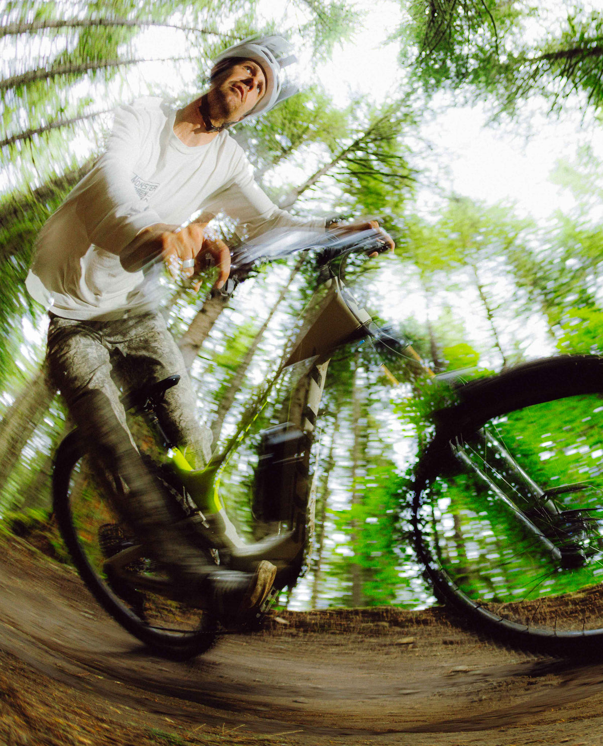 Person riding a bicycle on a forest trail with greenery and trees in the background