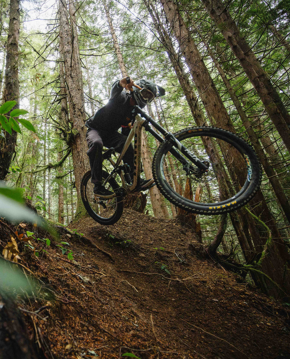 Person riding a mountain bike through a forest