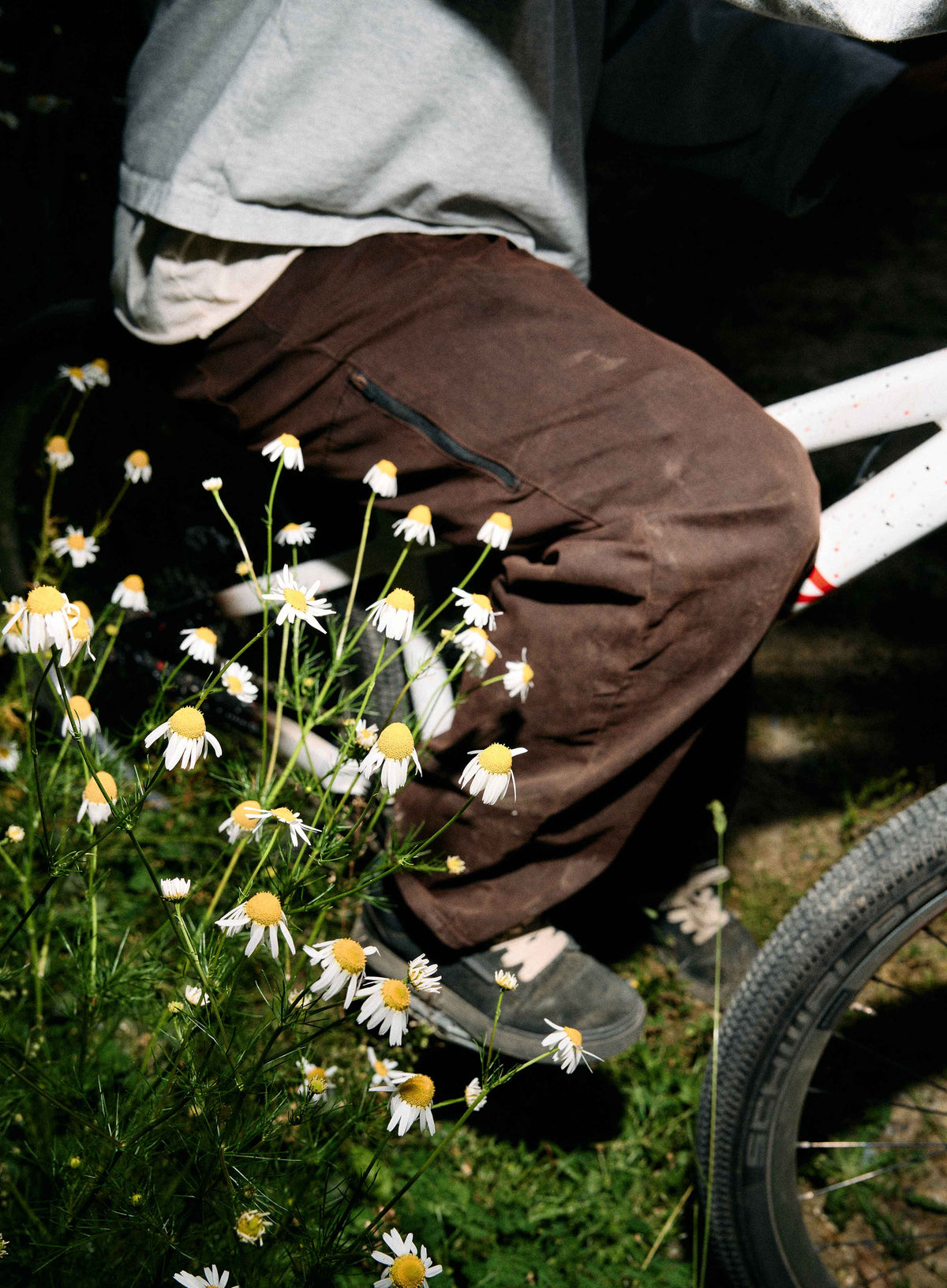 Person sitting on a bicycle surrounded by daisies in a natural setting